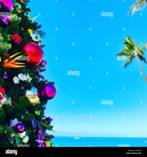 Top 87 Imagen Hawaii Christmas Background Vn