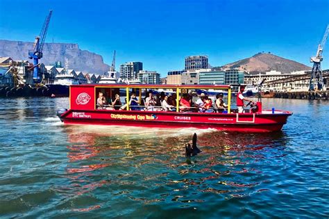 City Sightseeing Cape Town The Official Red Bus