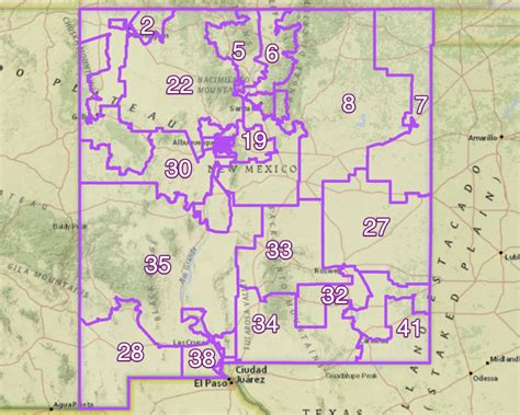 Lawmakers Protected Themselves When Redistricting Report Finds New