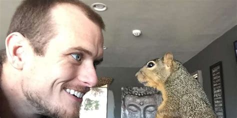 Orphaned Squirrel Is Obsessed With The Guy Who Rescued Him The Dodo