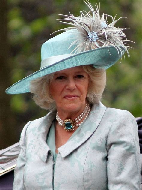 The duchess of cornwall says she can't wait to hug her grandchildren after only seeing them on internet calls and at a social distance since the start of lockdown in the uk. Camilla, vévodkyně z Cornwallu - Wikipedie