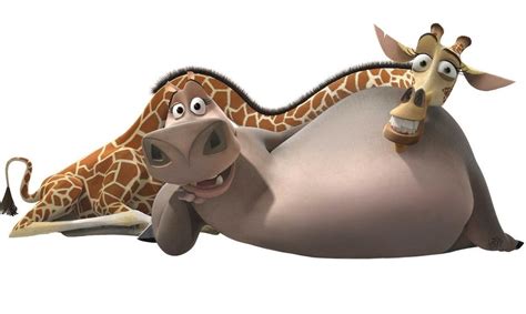 Melman And Gloria’s Love Story In Madagascar Is One Of Determination Description From Dadofdivas