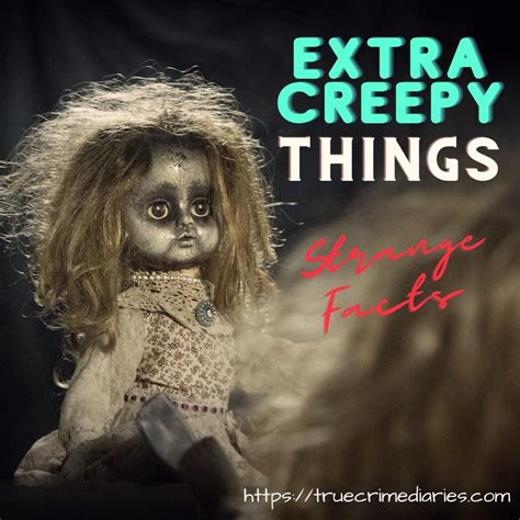 Extra Freaky Things True Crime Diaries