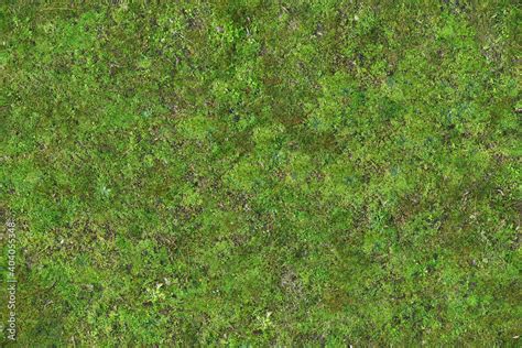 Seamless Soil And Green Moss Texture Vertical Garden Pattern High