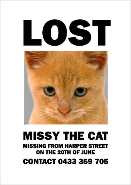Hilarious Missing Cat Posters 19 Pics