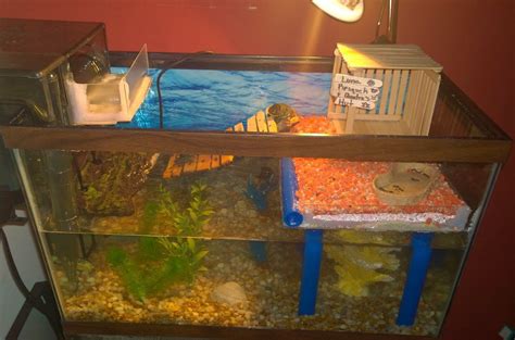 10 Gal Tank For Our 3 Mini Slider Turtles Tank Includes Water Heater