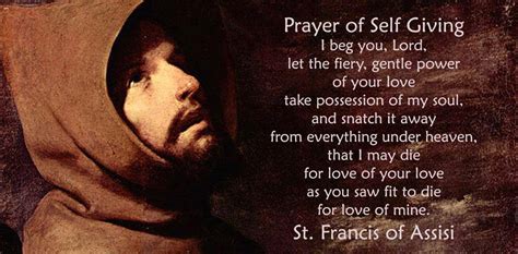 little plant of st francis st francis of assisi quote