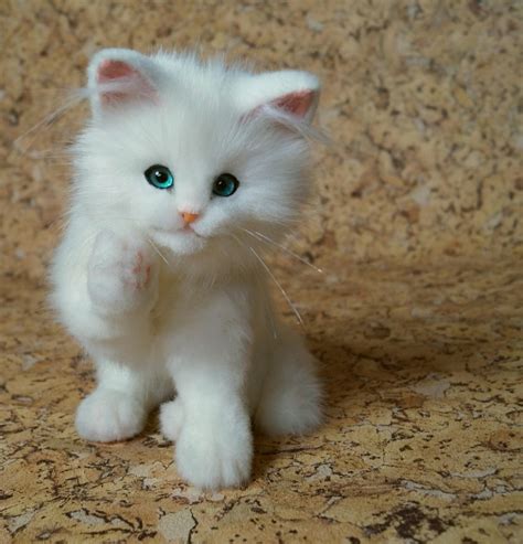 White Cat Realistic Stuffed Animals Poseable Art Doll Etsy