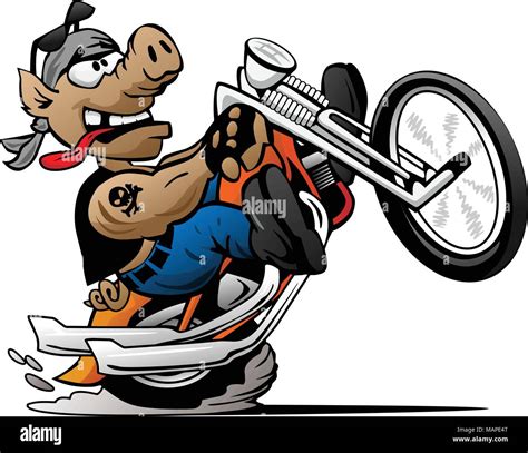 Biker Hog Knallen Einen Wheelie Auf Einem Motorrad Cartoon Vector