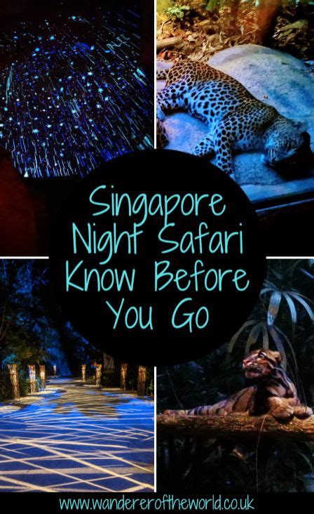 Singapore Night Safari Know Before You Go Singapore Zoo Singapore