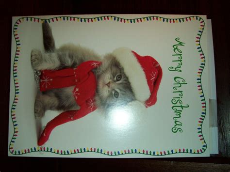 New Boxed Kitty Cat Kitten Santa Hat Christmas Holiday Cards Env 15 Ct