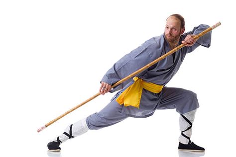 40 Shaolin Kung Fu Stances Stock Photos Pictures And Royalty Free