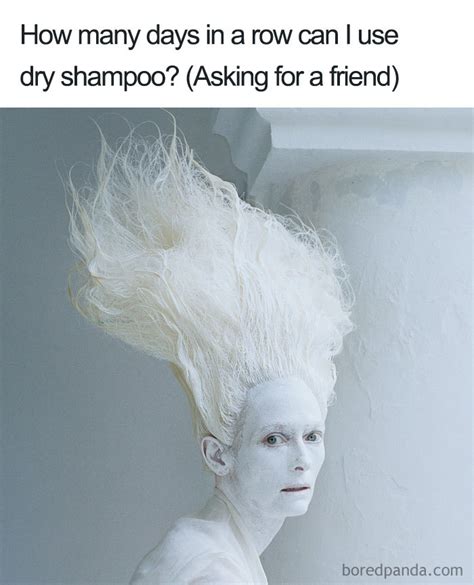 Funny Memes That Will Make You Feel Bad For Your Hairstylist Bored Panda