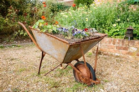 10 Great Ideas For Your First Urban Garden