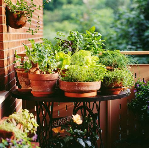 This is easy if you have your own back garden. 35 Patio Potted Plant and Flower Ideas (Creative and ...