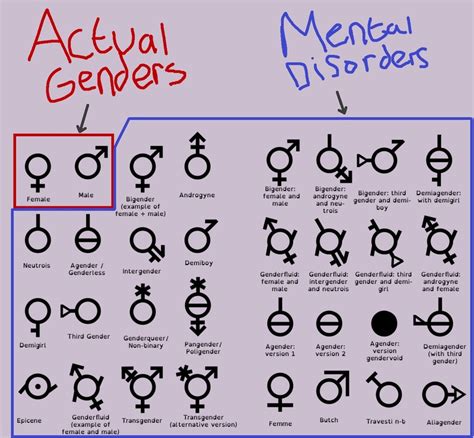 Actual Genders Mental Disorders Real X Vs Mental Disorders Know Your Meme