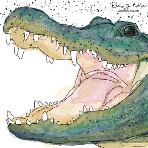 Alligator Watercolor Wall Art Alligators Art Colorful Watercolor