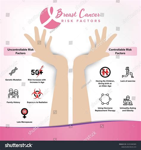Breast Cancer Risk Factors Breast Cancer Stock Vector Royalty Free
