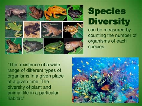 3b1 Introduction To Biodiversity