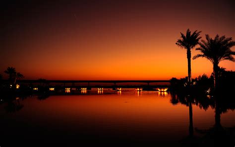 Fond D écran Dubai Nuit Soir Le Coucher Du Soleil Orange Noir Palmiers Eau Lumière