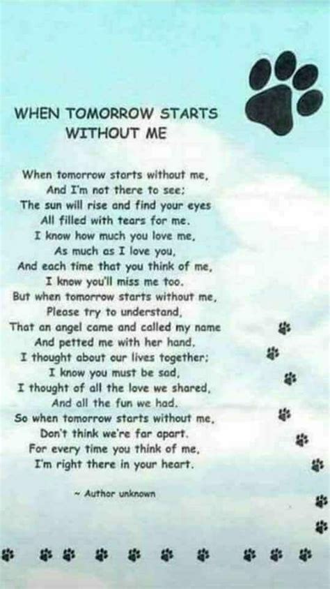 The time has come, please let me go. Pin by tamcat on dogs | Pet loss grief, Dog poems, Dog quotes