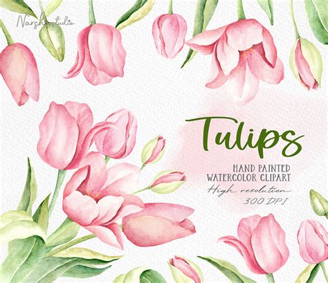 Watercolor Tulip Clip Art