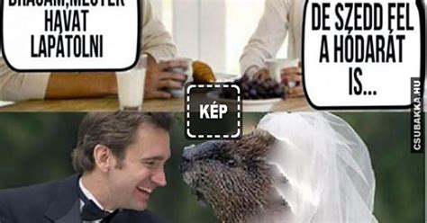 Kellékfeleség 2011 szinopszis magyarul videa film online hu. Megyek havat lapátolni