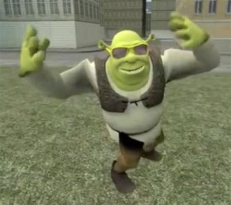 When They Think You Dont Have Swag Memes Laugh Shrek