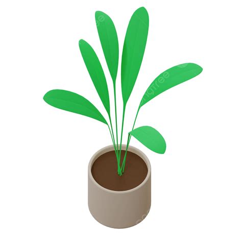 Plant Pot Orthographic View Plant Pot Orthographic View Png Plant Pot
