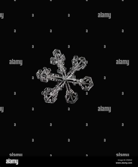 Snowflake Macrosnow Crystal Stock Photo Alamy