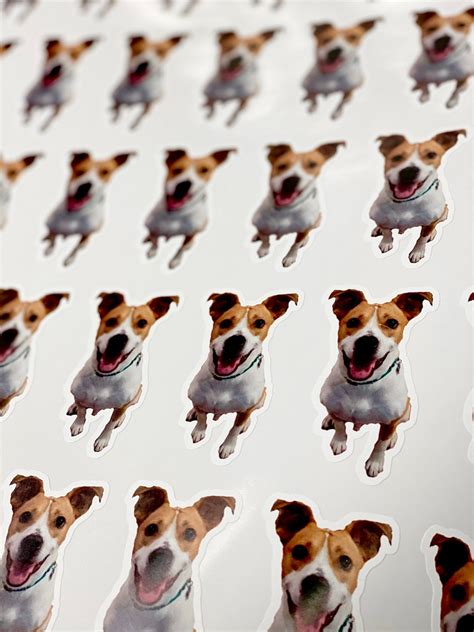 Custom Pet Stickers 25 Pieces Vinyl Stickers With Your Pet Etsy