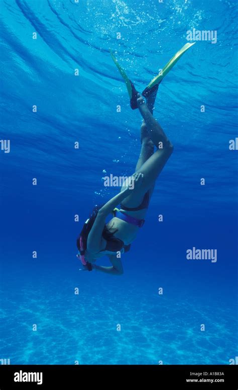 Female Skin Diver Hi Res Stock Photography And Images Alamy