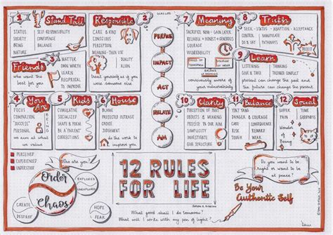 12 Rules For Life Jordan B Peterson Visual Synopsis By Dani Saveker