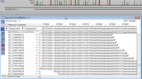 Dnastar Reference Guided Genome Assembly In Lasergene Genomics Suite