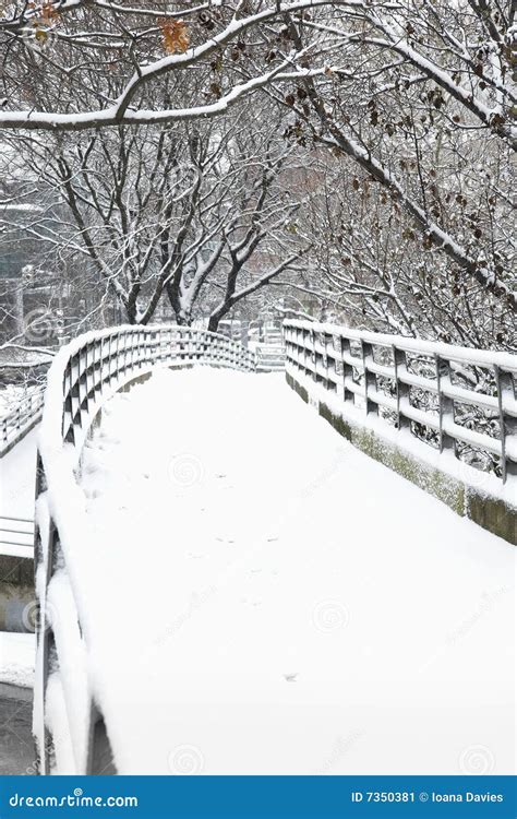 Snowy Winter Path Stock Image Image Of Quiet Beautiful 7350381