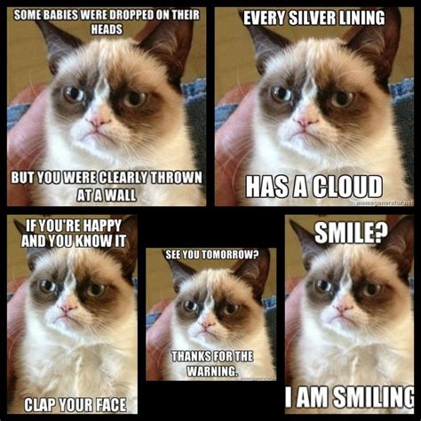 Grumpy Cat Funny Sayings Har Har Pinterest