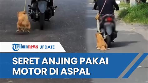 Viral Video Wanita Di Bali Kendarai Motor Sambil Seret Anjingnya Di