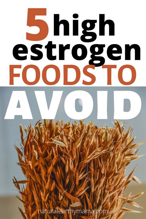 Some estrogen rich foods to avoid. 5 High Estrogen Foods to Avoid in 2020 | Estrogen foods ...