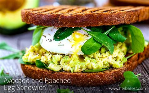 Avocado And Poached Egg Sandwich Herbazest