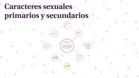 Caracteres Sexuales Primarios Y Secundarios By Doris Ibarra On Prezi