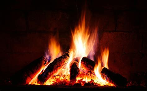 4 Benefits Of Burning Firewood Manda All Seasons Tree Service Wood