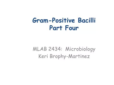 Ppt Gram Positive Bacilli Part Four Powerpoint Presentation Free