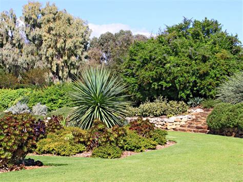 Australia Garden Design How To Grow An Australian Garden
