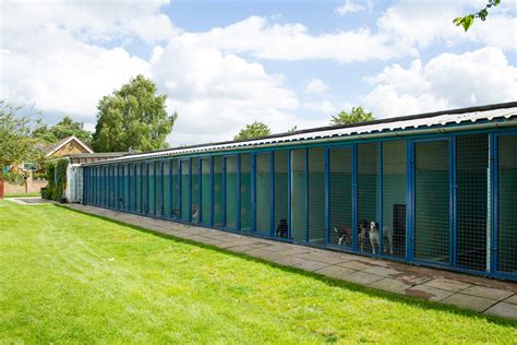 Dog Boarding Kennels In Rotherham Cattery In Sheffield