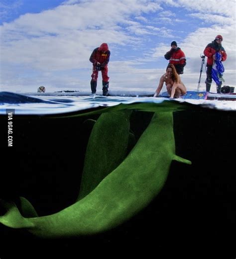 Russian Scientist Natalia Avseenko Preparing To Swim Naked With Beluga