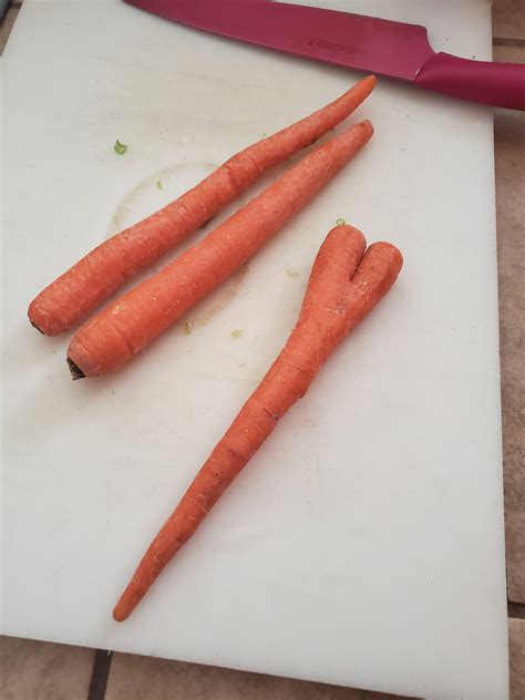 This Carrot Has Butt Cheeks R Funny