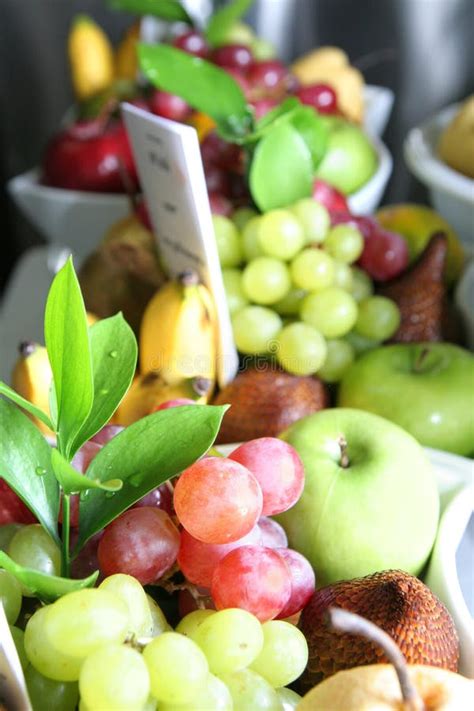 Fruits Free Stock Photos And Pictures Fruits Royalty Free And Public