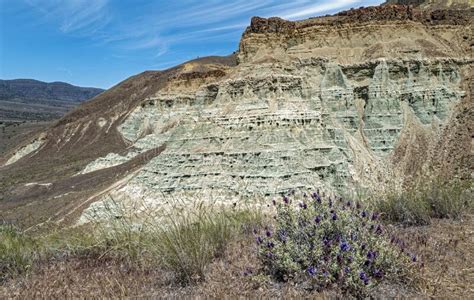 Green Claystone Cliffs And Purple Flowers At The Sheep Rock Unit Of The