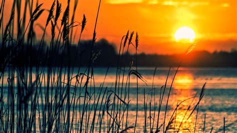 Crops Sunset Lake Hd Nature 4k Wallpapers Images Backgrounds