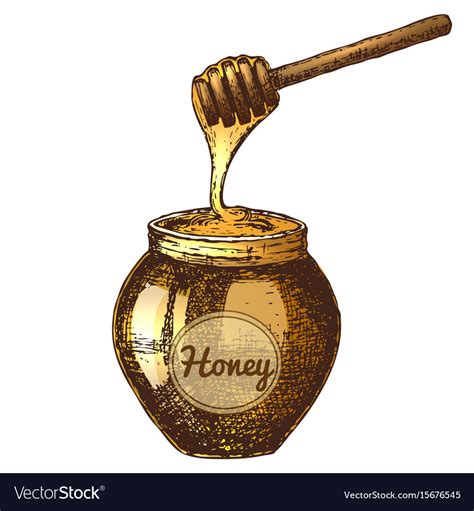 Honey Ink Sketch Royalty Free Vector Image Vectorstock